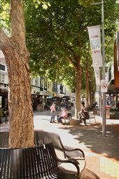 Elizabeth Street, Hobart: by graynomadsusa, Views[247]