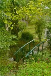 It's not Giverny but it's still cute: by graynomadsusa, Views[244]