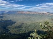 Blue Mountains National Park from Echo Point, Katoomba: by graynomadsusa, Views[207]