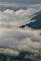 Morning fog, Blue Mountains NP, Katoomba: by graynomadsusa, Views[262]