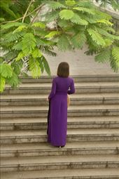 Woman in purple ao dai on the stairs: by graynomadsusa, Views[659]