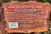 NVA tunnels right in Bach Ma NP: by graynomadsusa, Views[225]