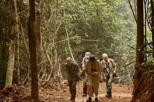 Slow going at a mile-high elevation, Bach Ma National Park