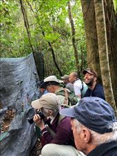 Barely hidden, Mang Den Nature Reserve : by graynomadsusa, Views[237]