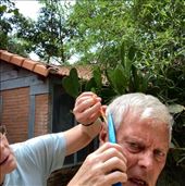 Shearing season: by graynomadsusa, Views[244]