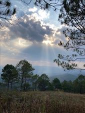 Up, up, up—High Above Da Lat: by graynomadsusa, Views[685]