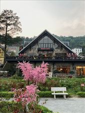 Rock Cafe, site of the Great Food Rebellion: by graynomadsusa, Views[271]