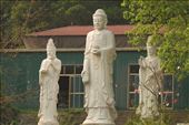 Birding and Buddha don't mix, Truc Lam An Tam Zen monastery: by graynomadsusa, Views[241]