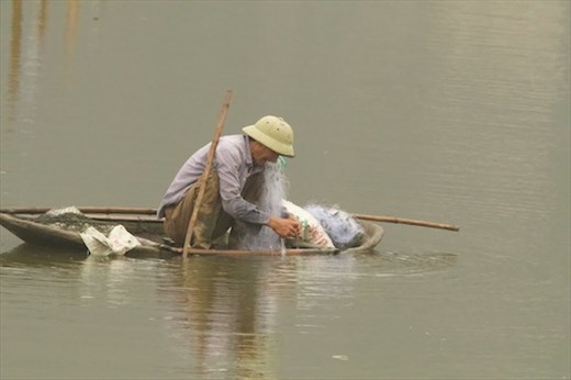 One fish, Two fish...Van Long Wetlands