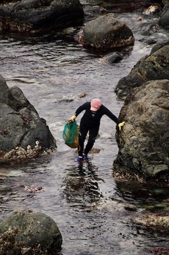 The Seaweed Gatherer, Haeundae Beach