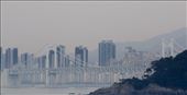 Gwangan Suspension Bridge, Busan: by graynomadsusa, Views[227]