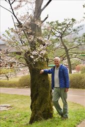 Ancient, maybe, but still with some juice, Bulguska Temple: by graynomadsusa, Views[258]