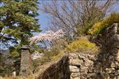 Haeinsa Temple is scenic in its own right: by graynomadsusa, Views[109]