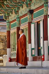 Monk at Haeinsa Temple: by graynomadsusa, Views[57]