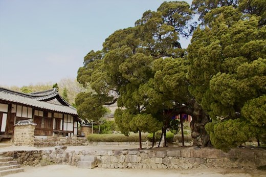 Songcheom Head Family House