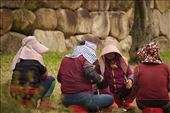Female Korean laborers with sun hats: by graynomadsusa, Views[255]