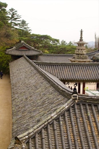 Bulguska Temple roof and Seekgatap Pagoda