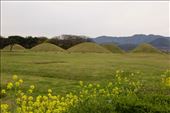 Wolesong Ancient Tombs, Gyeongju: by graynomadsusa, Views[314]
