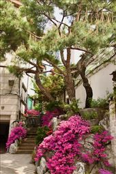 Prime Real Estate, Bukchon Hanok Village: by graynomadsusa, Views[651]