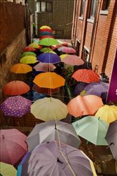 Umbrellas near Bukchon Hanok Village: by graynomadsusa, Views[263]
