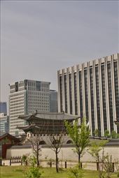 Gyeongbobgung Palace right in the middle of Seoul: by graynomadsusa, Views[166]