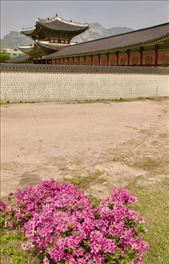 Gyeongbobgung Palace from outside the walls: by graynomadsusa, Views[157]