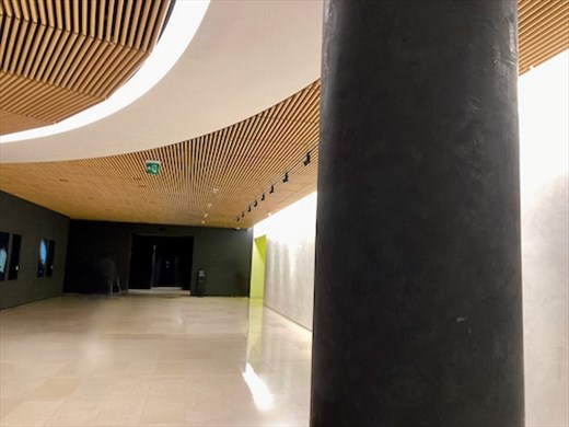 Main Hall, Lemur Samsung Museum of Art