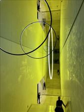 Last stop, Lemur Samsung Museum of Art: by graynomadsusa, Views[349]