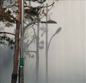 Art imitating nature; morning shadows on a wall: by graynomadsusa, Views[176]