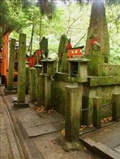 Family shrines, Fushimi Inari : by graynomadsusa, Views[234]