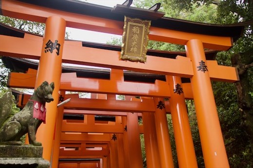 The Fox is the messenger of the Inari spirit, Fushimi Inari 