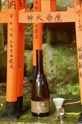 My favorite offering, Fushimi Inari : by graynomadsusa, Views[248]