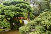 Gonaitei Garden—Kyoto Imperial Palace: by graynomadsusa, Views[297]