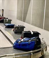 They have to survive only one more flight: by graynomadsusa, Views[236]