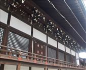 Decorative roof tiles—Kyoto Imperial Palace: by graynomadsusa, Views[247]