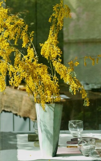 Gallery along Philosopher's Trail—walking to Ginkaku-ji