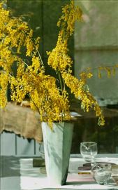 Gallery along Philosopher's Trail—walking to Ginkaku-ji: by graynomadsusa, Views[241]