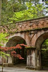 Bridge and maple tree, Nanzen-ji: by graynomadsusa, Views[131]