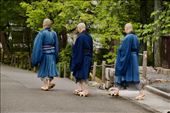 Monks at Nanzen-ji: by graynomadsusa, Views[122]