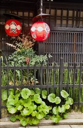 Simple but classic—walking to Ginkaku-ji: by graynomadsusa, Views[237]