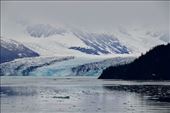 Glacier in College Fjord: by graynomadsusa, Views[391]