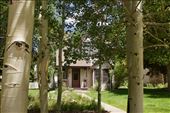 Through the Aspens, Breckenridge: by graynomadsusa, Views[237]