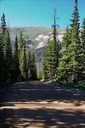 Old Fall River Road, the original road in RMNP: by graynomadsusa, Views[215]
