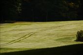 Morning dew on the fairway, Stratton Mt. Golf Course: by graynomadsusa, Views[260]