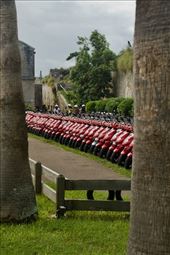 Scooter rental for the young, brave and stupid: by graynomadsusa, Views[208]