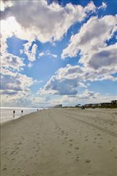 Low tide, N. Myrtle Beach SC: by graynomadsusa, Views[316]
