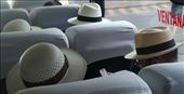 Shipmates bought a lot of hats: by graynomadsusa, Views[307]