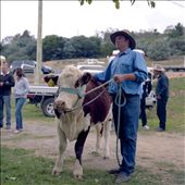 The Prized Cow: by grc, Views[227]
