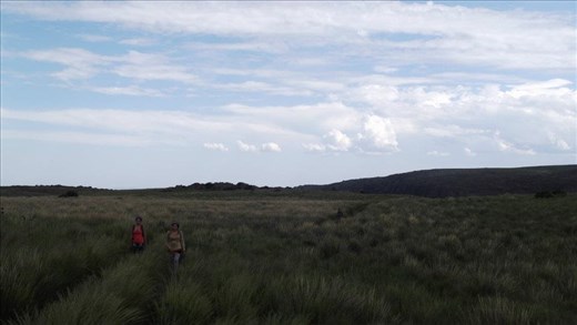 people of the forest