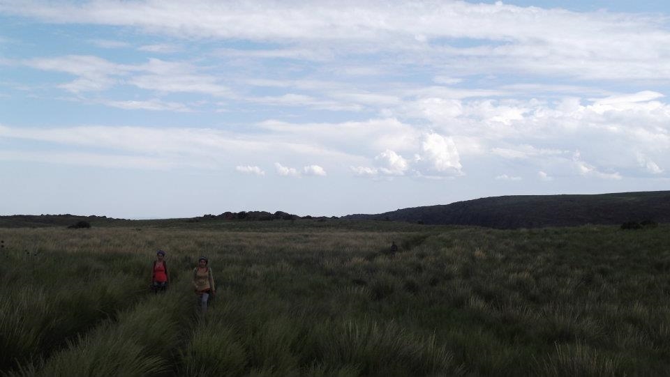 people of the forest